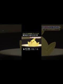 [x]ぴよりんが今すごいことに 藤井聡太三冠が火付け役 #Shorts - YouTube