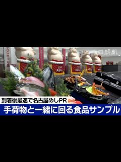 [x]中部国際空港到着後最速の名古屋めしPR - YouTube