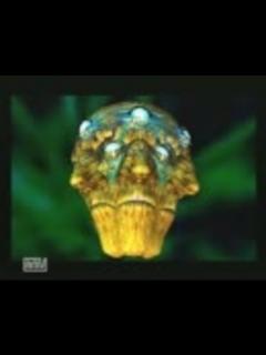 [x]本当にクソゲーなのか最高難易度で検証実況part16 - ニコニコ動画