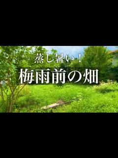 [x]＃43 真夏！暑すぎ！ - YouTube