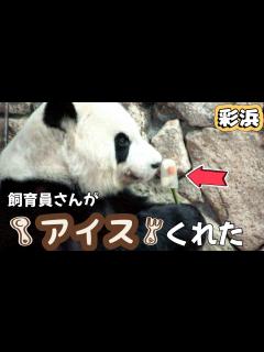 [x]アイスもらった彩ちゃん🌈 - YouTube