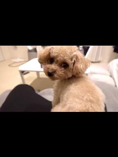 [x]モコと晩ごはんの相談をします - YouTube