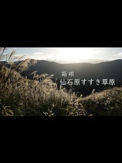 [x]箱根･仙石原すすき草原 - YouTube