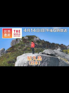 [x]【TBS世界遺産】鈴木亮平が登る！巨木と巨岩の島・屋久島 （後編）【4月14日午後6時放送】 - YouTube