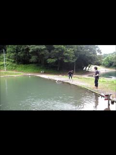 [x]バニラアイス作ってみた。【赤髪のとも】 - YouTube