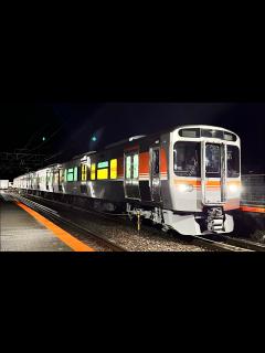 [x]JR東海 315系3000番台C102編成 身延線試運転 源道寺駅 - YouTube