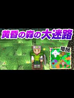 [x]黄昏の森の生垣迷路を攻略＆魔法の地図埋め探索！ 5【Twilight Forest