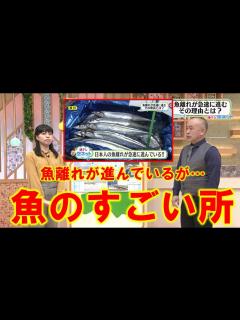 [x]【魚離れが進んでいるが…魚のすごい所】空ネット（12月8日放送） - YouTube