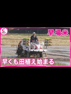 [x] 田植え始まる お盆前に新米を収穫へ 競争力を高める取り組み 三重・紀宝町 - YouTube