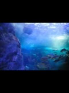 [x] LOVE 2000/hitomi - ニコニコ動画