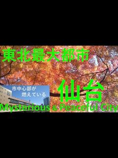 [x]【東北最大都市 仙台】市中心部が幻想世界🌟関東・関西にいた私が驚いた🌟 - YouTube