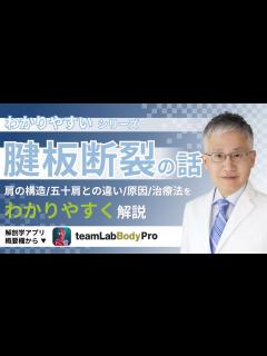 [x]腱板断裂の話【医師によるわかりやすい解説】 - YouTube