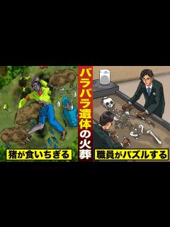 [x]バラバラ遺体の火葬。猪に食い散らかされ…職員が遺骨でパズルする。 - YouTube