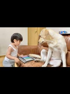 [x]本日も相変わらずの次女vs三女、長女&三女であった。 - YouTube