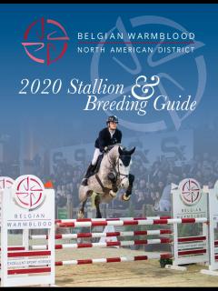 [x]2020 BWP/NAD Stallion & Breeding Guide by BWP-NAD - Issuu