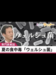 [x]細菌界の”F1レーサー”「ウェルシュ菌」原因の”集団食中毒”各地で相次ぐ カレーなど煮込み料理で増殖 100度で1時間以上加熱でも ...