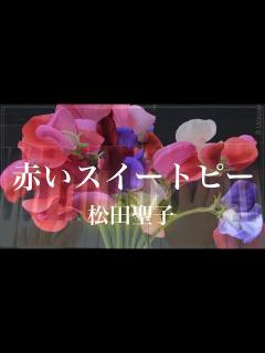 [x]松田聖子/ 赤いスイートピー - YouTube