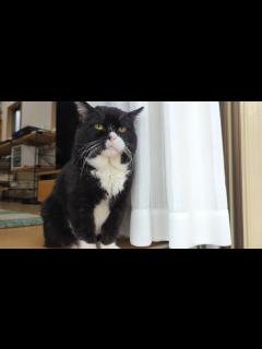 [x]YouTube再開とご報告 - YouTube