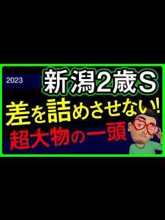 [x]【新潟2歳ステークス2023予想・有力馬解説・外厩】圧倒的強さ大注目の一頭！アスコリピチェーノ、エンヤラヴフェイス、ヒヒーン、ルージュス ...