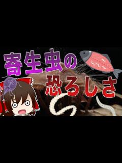 [x]気付かぬうちに虫が体内に寄生...寄生虫がやばすぎる... 【ゆっくり解説】 - YouTube