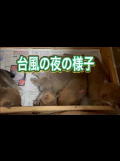 [x]【気象予報士が解説】台風7号離れるも影響残り大気不安定 農家に恵みの雨になるか？ スーパーJにいがた8月16日OA - YouTube