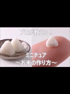 [x]【ミニチュア】プロが教える！～お米の作り方～ - YouTube
