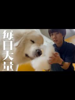 [x]ホルンさんの美しさを保つために毎日していること - YouTube