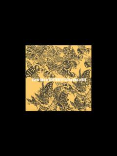 [x]Soul Scream - 蜂と蝶 - YouTube