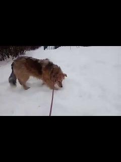 [x]Sharlotta (02-2019) - YouTube
